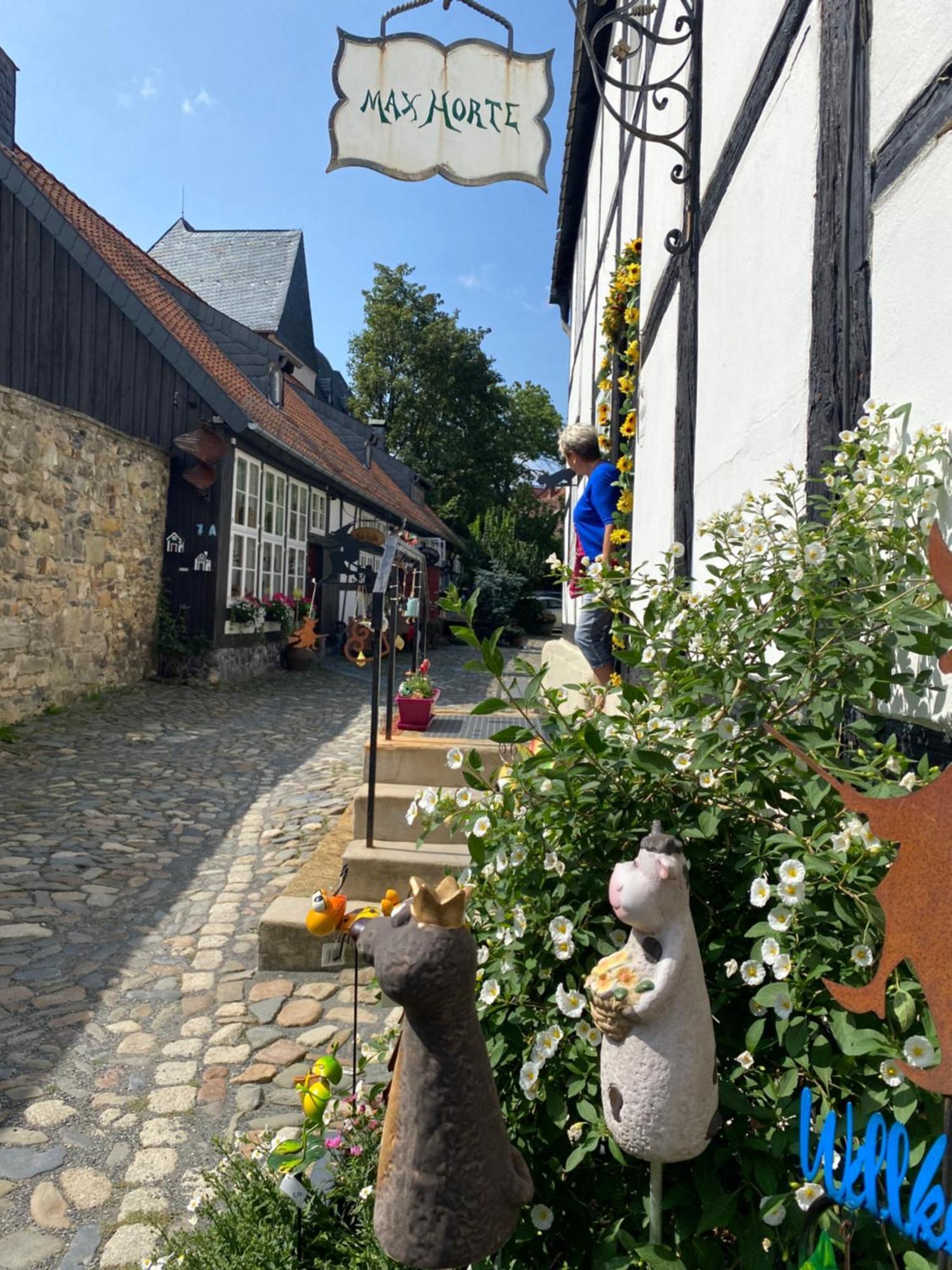Fewo Georgenberg Goslar Exterior photo